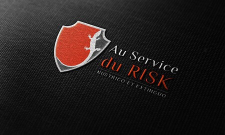 Site internet et conseils en communication pour consultant en risques à Aix en Provence